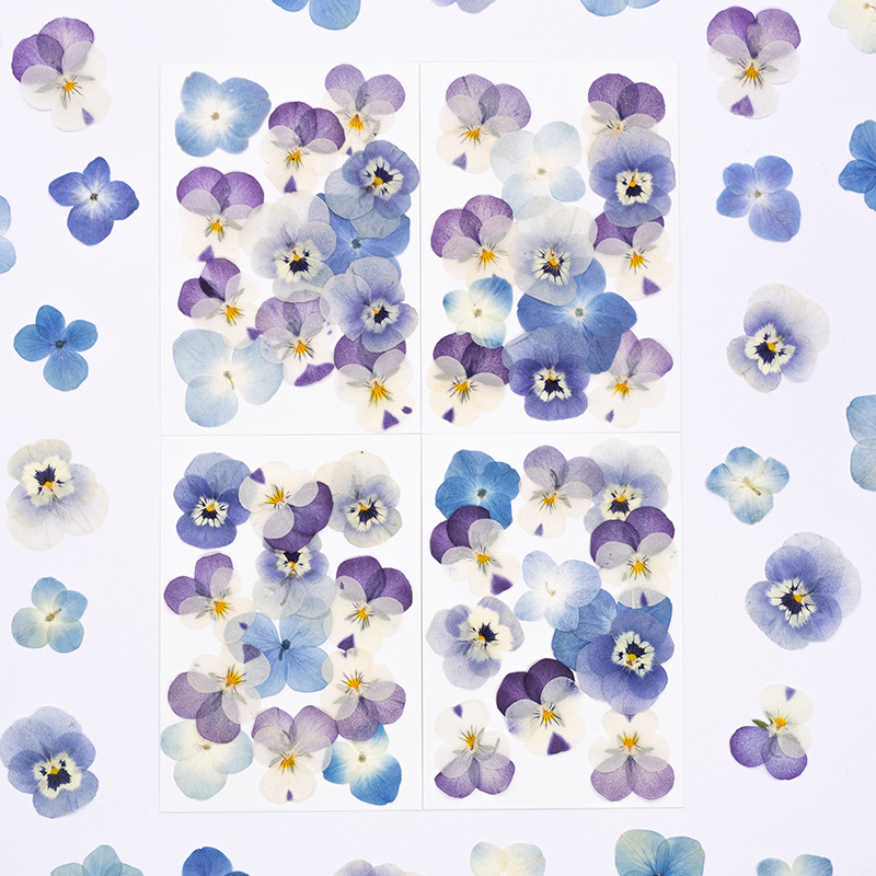 Dried Flower Bookmark - 12 Pezzi, Petali Naturali di Viola