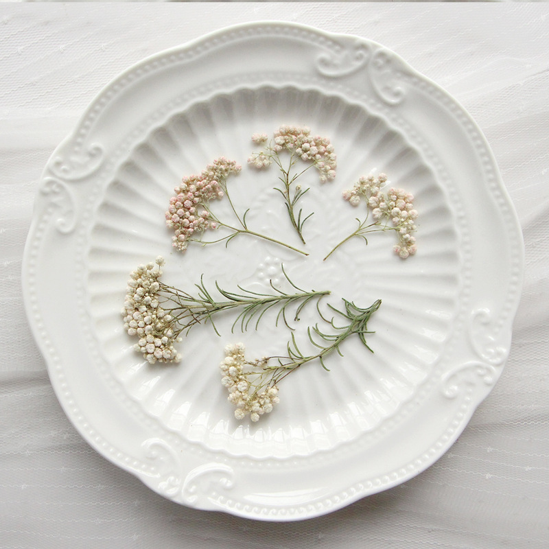 Dried Flower Bookmark - 12 Pezzi, Rami di Miglio Naturale,
