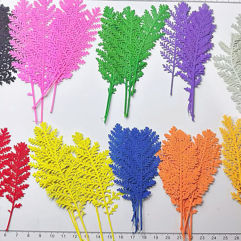 Dried Flower Bookmark - 100 Pezzi di Foglie Naturali Argentate