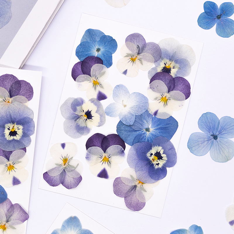 12 Pezzi, Petali Naturali di V - Dried Flower Bookmark recensione e prezzo