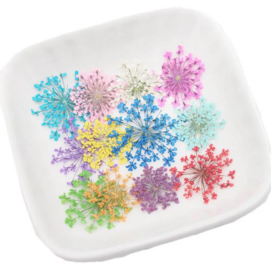 60 pz Pressato Secco 20-25mm A - Dried Flower Bookmark recensione e prezzo