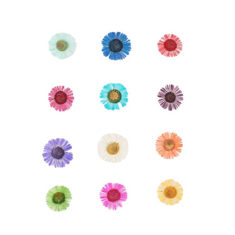 1 Set di Fiori Pressati Essicc - Dried Flower Bookmark recensione e prezzo