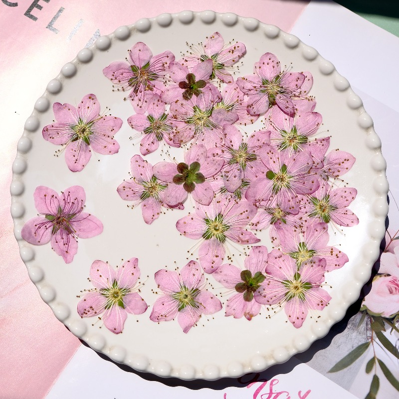 Fiori di pesco pressati ed ess - Dried Flower Bookmark recensione e prezzo