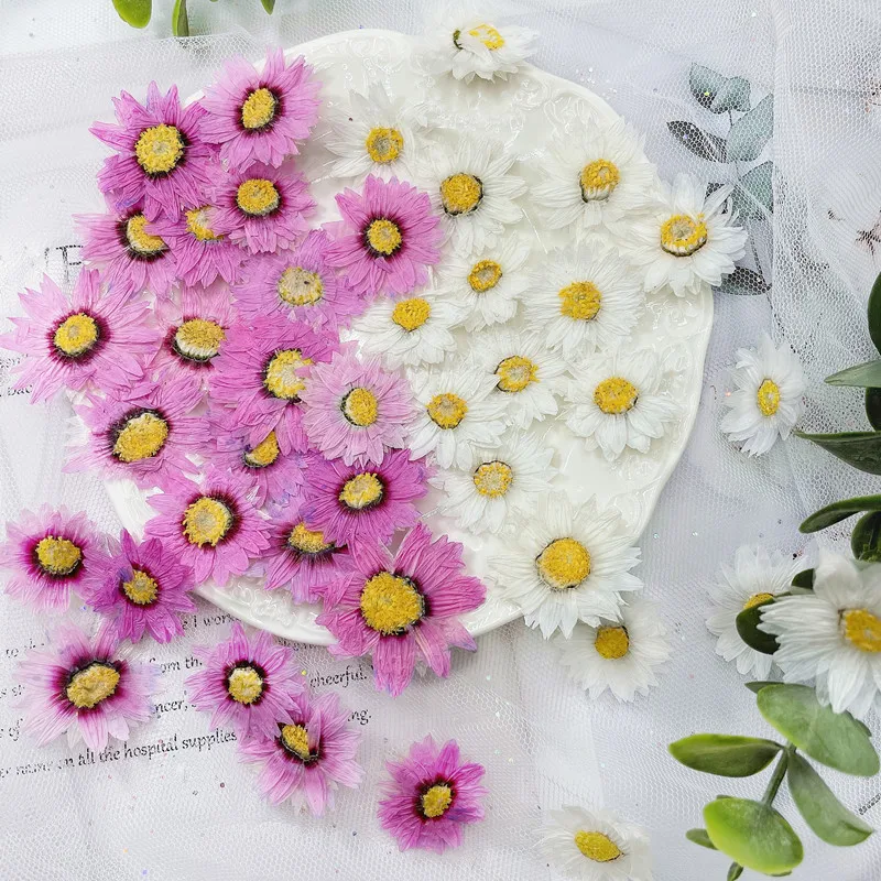 24pcs/2-4CM, petali di fiori p - Dried Flower Bookmark recensione e prezzo