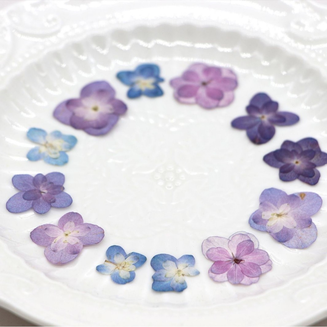 60 Pezzi Mini Ortensie a Doppi - Dried Flower Bookmark recensione e prezzo